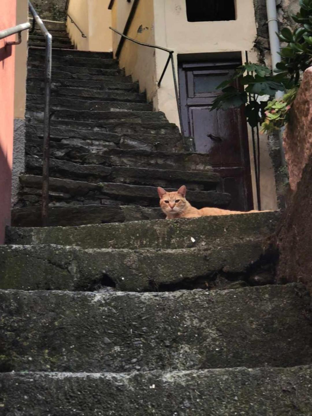 Olimpo Affittacamere Manarola Habitación foto